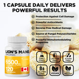 Organic Lion's 6500mg