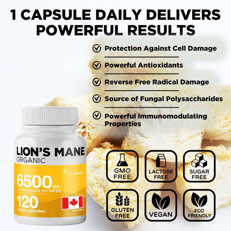 Organic Lion's 6500mg