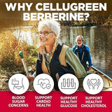 Berberine 1000mg
