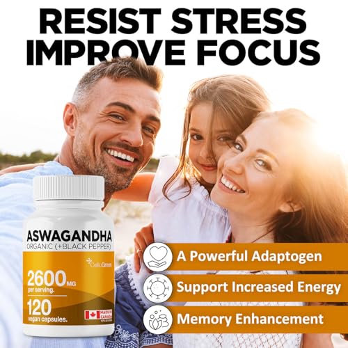 Organic Ashwagandha 2600mg