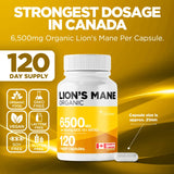 Organic Lion's 6500mg
