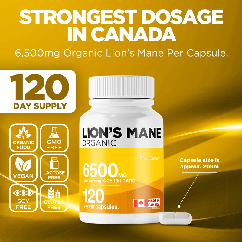 Organic Lion's 6500mg