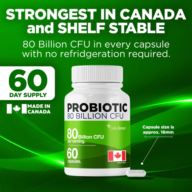 Probiotic 80 Billon CFU