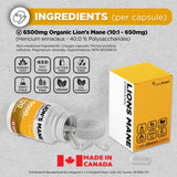 Organic Lion's 6500mg