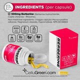 Berberine 1000mg