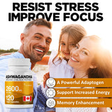 Organic Ashwagandha 2600mg