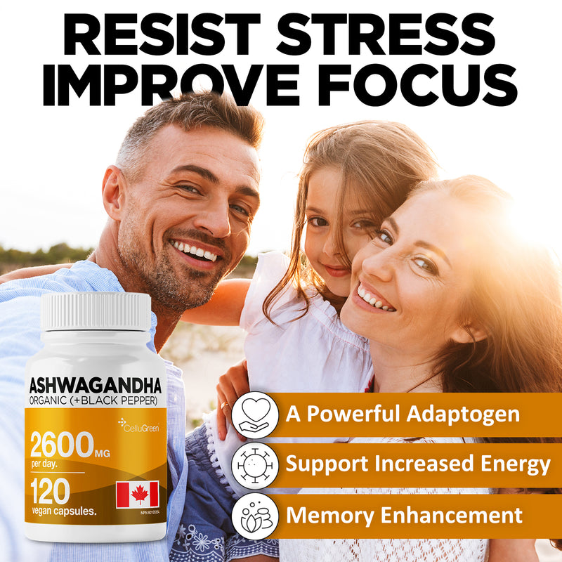 Organic Ashwagandha 2600mg