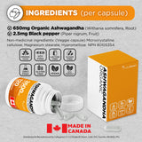 Organic Ashwagandha 2600mg