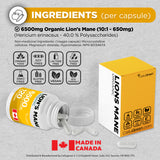Organic Lion's 6500mg