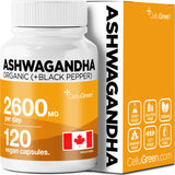 Organic Ashwagandha 2600mg