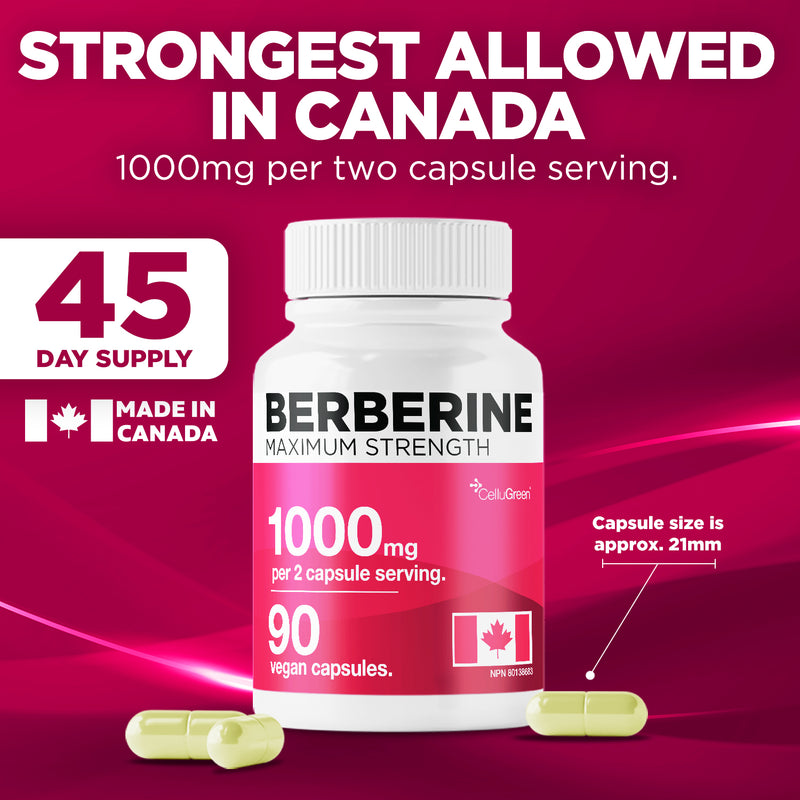 Berberine 1000mg