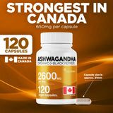 Organic Ashwagandha 2600mg
