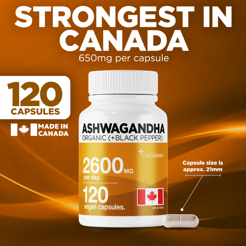Organic Ashwagandha 2600mg