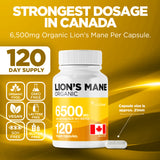 Organic Lion's 6500mg