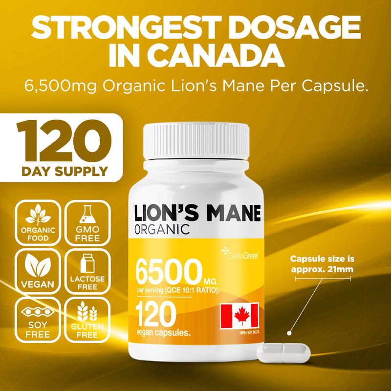 Organic Lion's 6500mg
