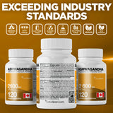 Organic Ashwagandha 2600mg