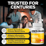 Organic Lion's 6500mg