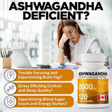 Organic Ashwagandha 2600mg